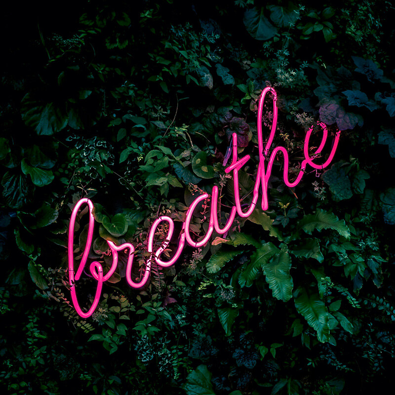 breathe = Nachhaltigkeit in der FRISEUR LOUNGE Johannisthal. Copyright: Fabian Moller, unsplash